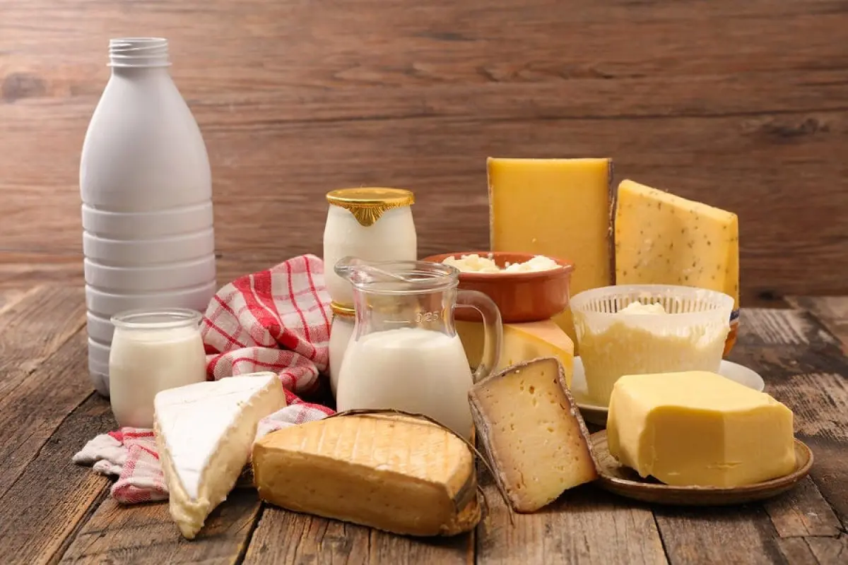 Alimentos Lácteos según el CAA: Una Guía Completa - Cómo define el CAA a la leche alimentos lacteos caa - Cómo define el CAA a la leche