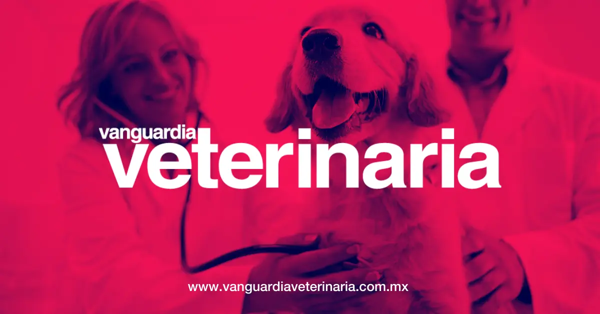 Curar el moquillo con leche y azufre: Mitos y realidades - Cómo subir las defensas de un perro con moquillo curar moquillo con leche y azufre - Cómo subir las defensas de un perro con moquillo