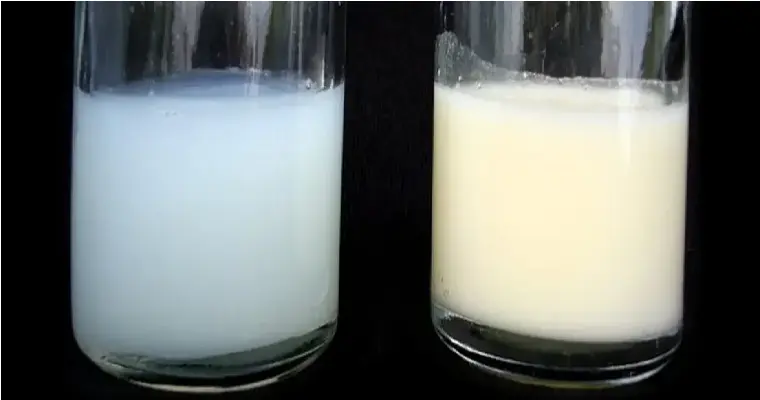 alteraciones de la leche - Cuáles son las adulteraciones de la leche