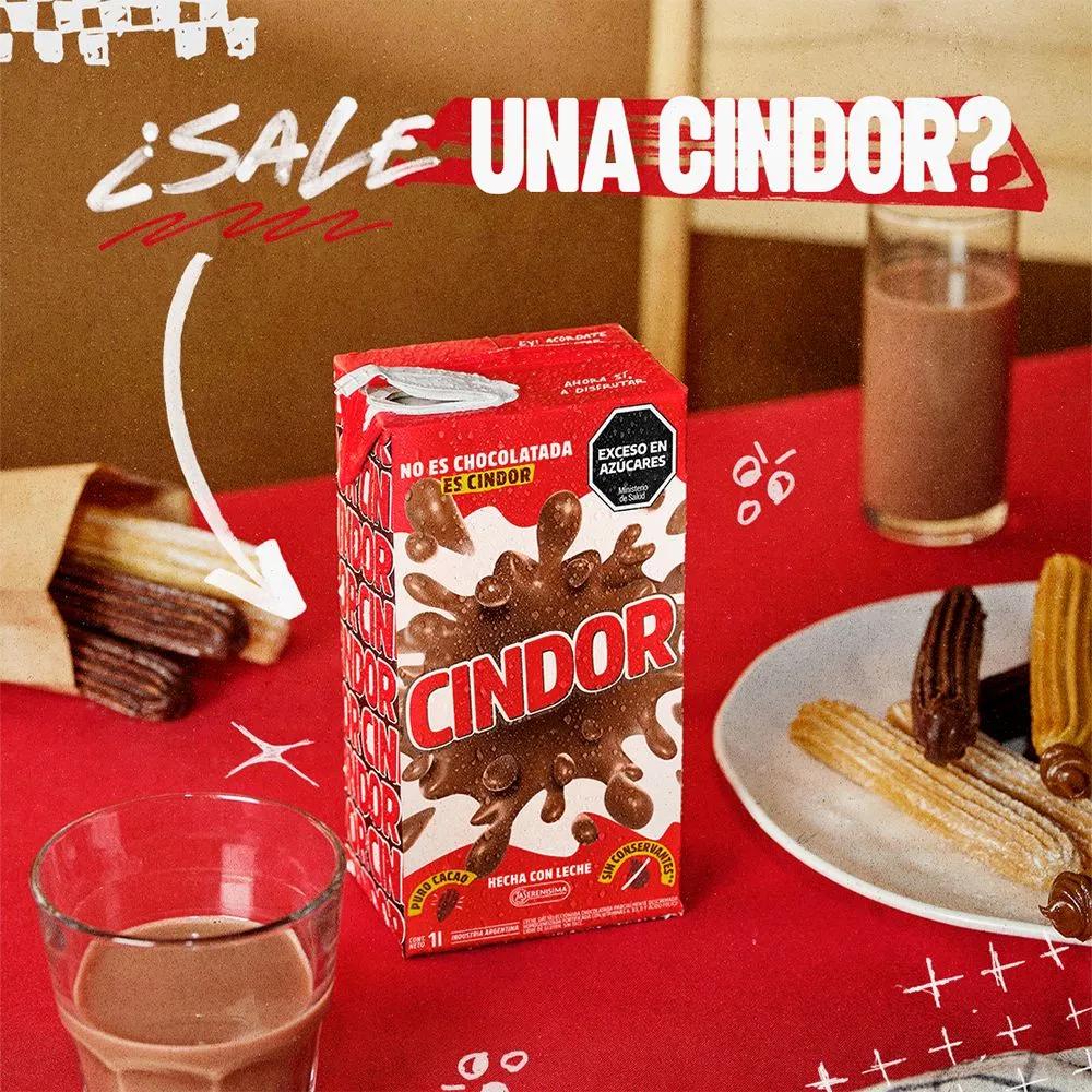 Leche Cindor: Historia, Fabricación y Comparativa con Competidores - Cuáles son los componentes de la leche chocolatada leche cindor - Cuáles son los componentes de la leche chocolatada