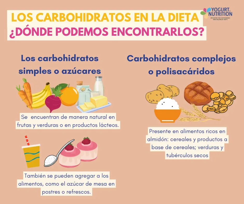 polisacaridos en productos lacteos - Cuáles son los polisacáridos más comunes