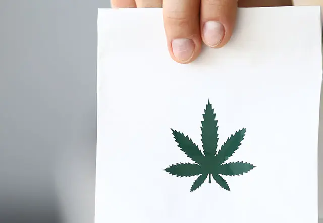 cannabis sariva mwdicinal lacteos - Is medicinal cannabis good for arthritis