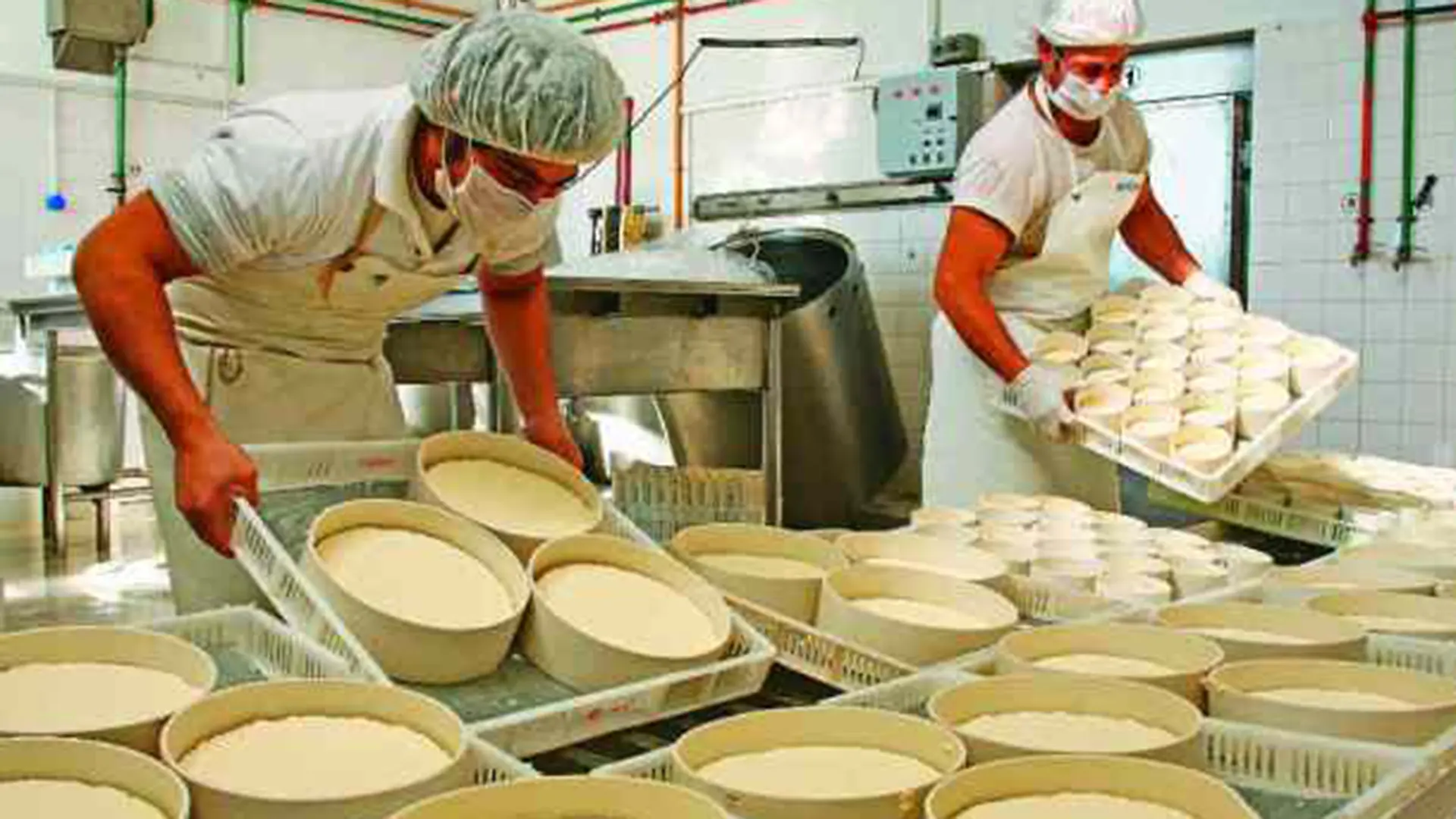exencion para fabricas de productos lacteos santa fe - Qué actividades están exentas de ingresos brutos en Santa Fe