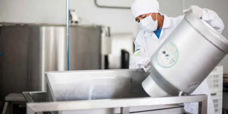 enzimas en la fabricación de productos lacteos - Qué enzimas se usan en la industria alimentaria