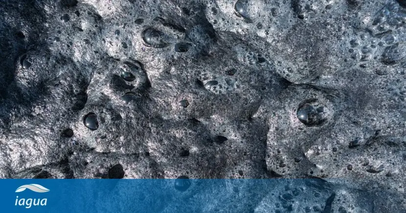 nutrientes n y p para lodos activados lacteos - Qué es un reactor de lodos activados
