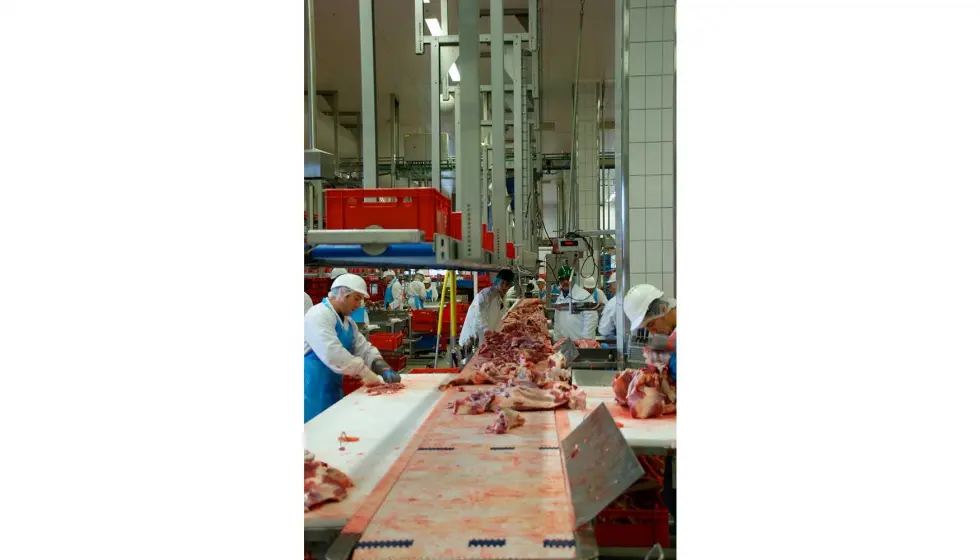 Accidentes Frecuentes en una Fábrica de Lácteos: Sector Producción - Qué medidas de prevención de accidentes de trabajo son comunes a la industria de alimentos accidentes frecuentes en una fabrica de lacteos sector produccion - Qué medidas de prevención de accidentes de trabajo son comunes a la industria de alimentos