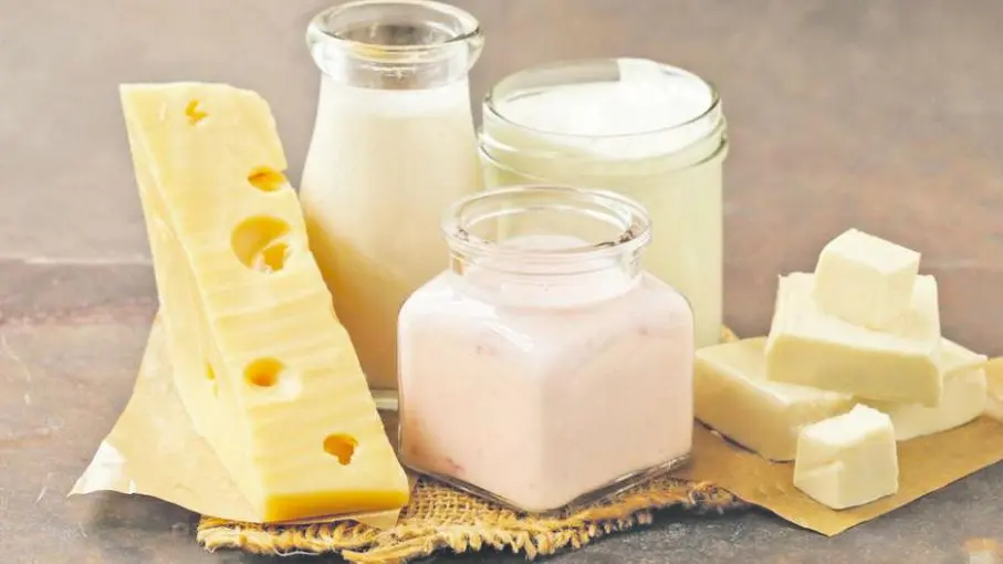 <b>Qué productos lácteos exporta Santa Fe?</b> Guía completa para productores e importadores - Qué productos se fabrican en Santa Fe que productos exporta santa fe lacteos - Qué productos se fabrican en Santa Fe