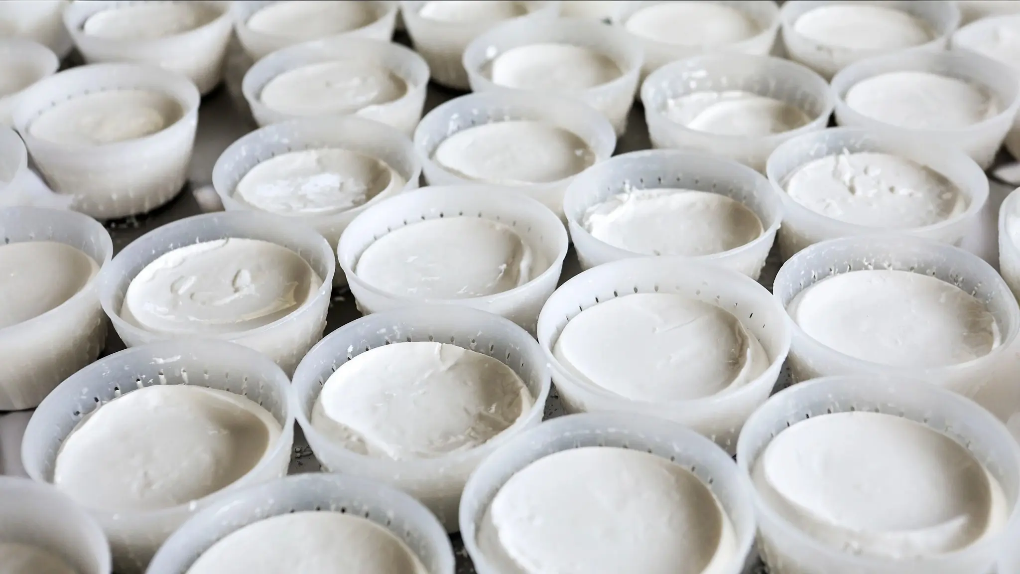Diferencia entre Leche y Producto Lácteo: Una Guía Completa - Qué quiere decir producto lácteo diferencia entre leche y producto lacteo - Qué quiere decir producto lácteo
