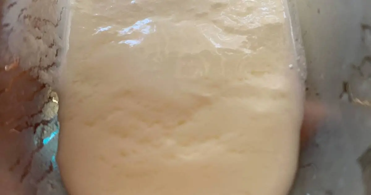 Kefir con leche descremada: Guía completa para principiantes - Qué tipo de leche se le pone a los búlgaros kefir leche descremada - Qué tipo de leche se le pone a los búlgaros