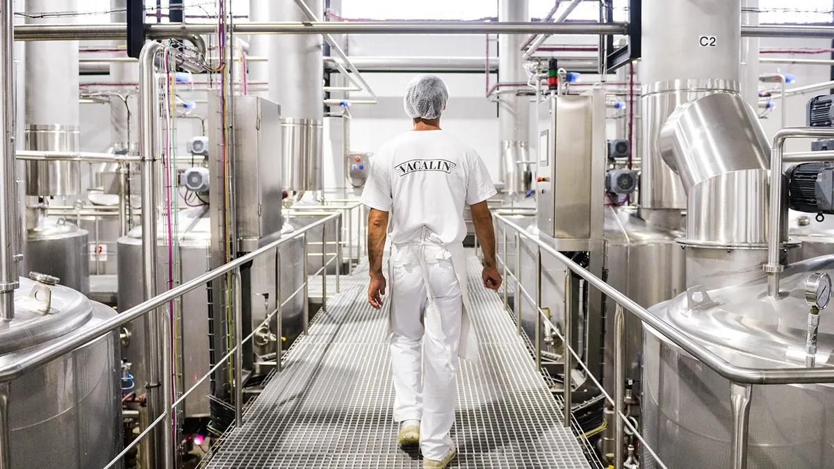 fabrica de dulce de leche vacalin - Quién es el dueño de Vacalin