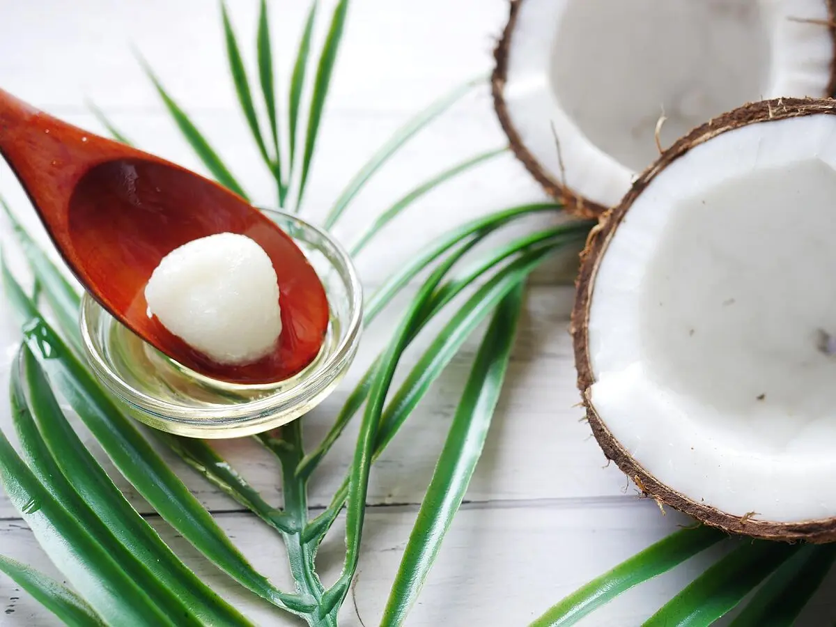 Aceite de Coco: ¿Es un lácteo? Descubriendo sus propiedades y usos - Quién no debe consumir aceite de coco el aceite de coco es un lacteo - Quién no debe consumir aceite de coco
